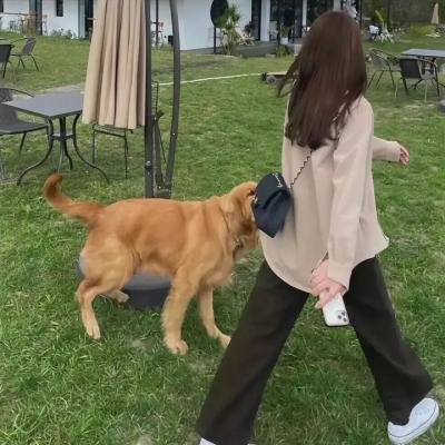 觉悟吧！那边的女孩